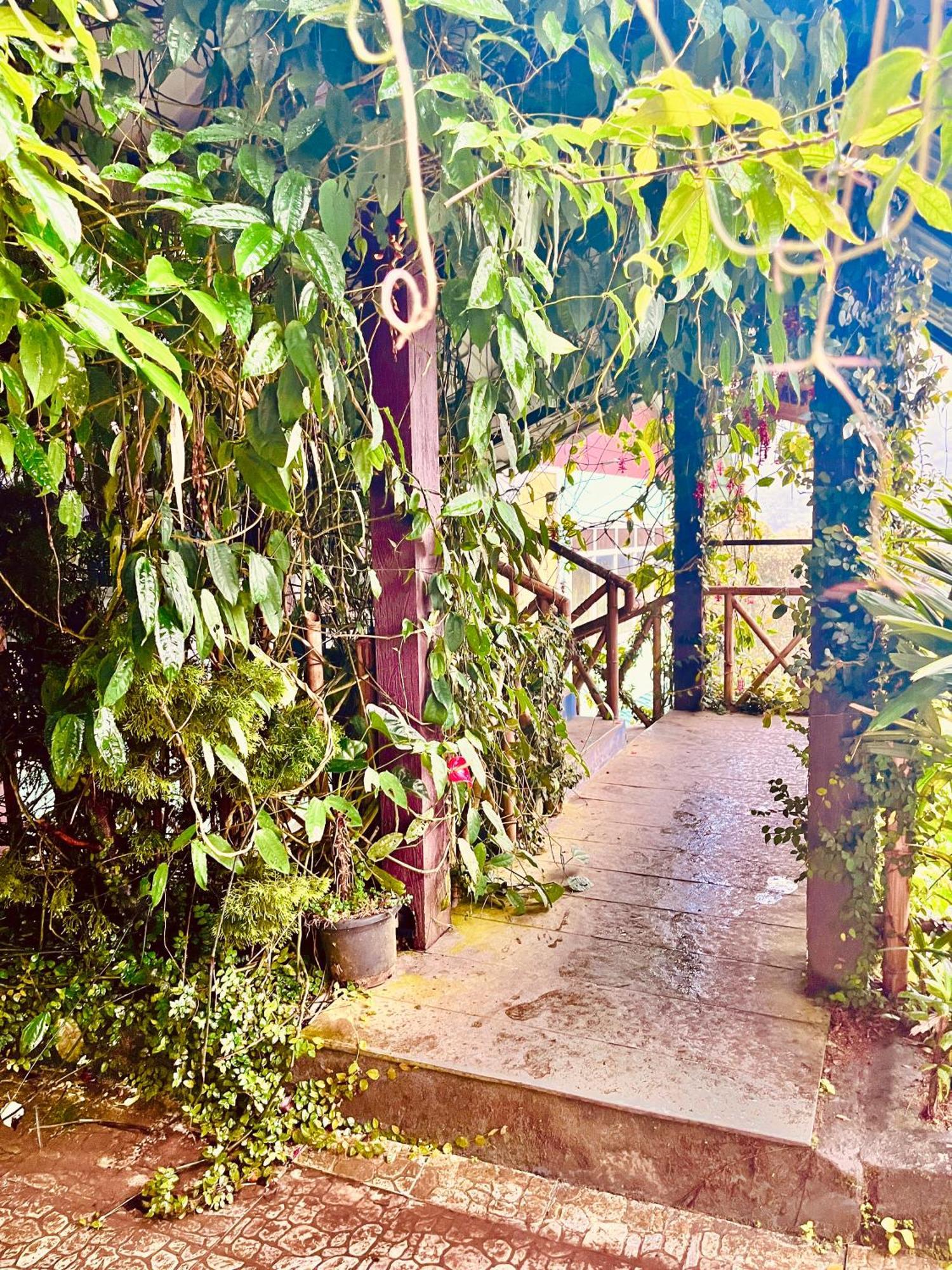 Munnar Tea Estate Cottage And Resort - Away From City Hustle 外观 照片